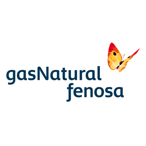 MAYNS Automatización de puertas 12 gasNatural