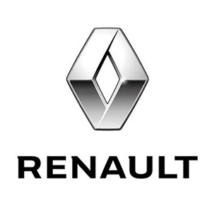 MAYNS Automatización de puertas 29 renault